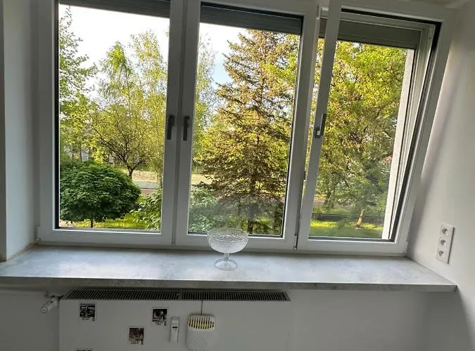 Zolifornia * Варшава