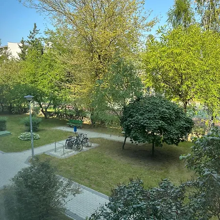 Zolifornia Apartament